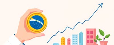 O Impacto da Taxa Selic em Seus Investimentos